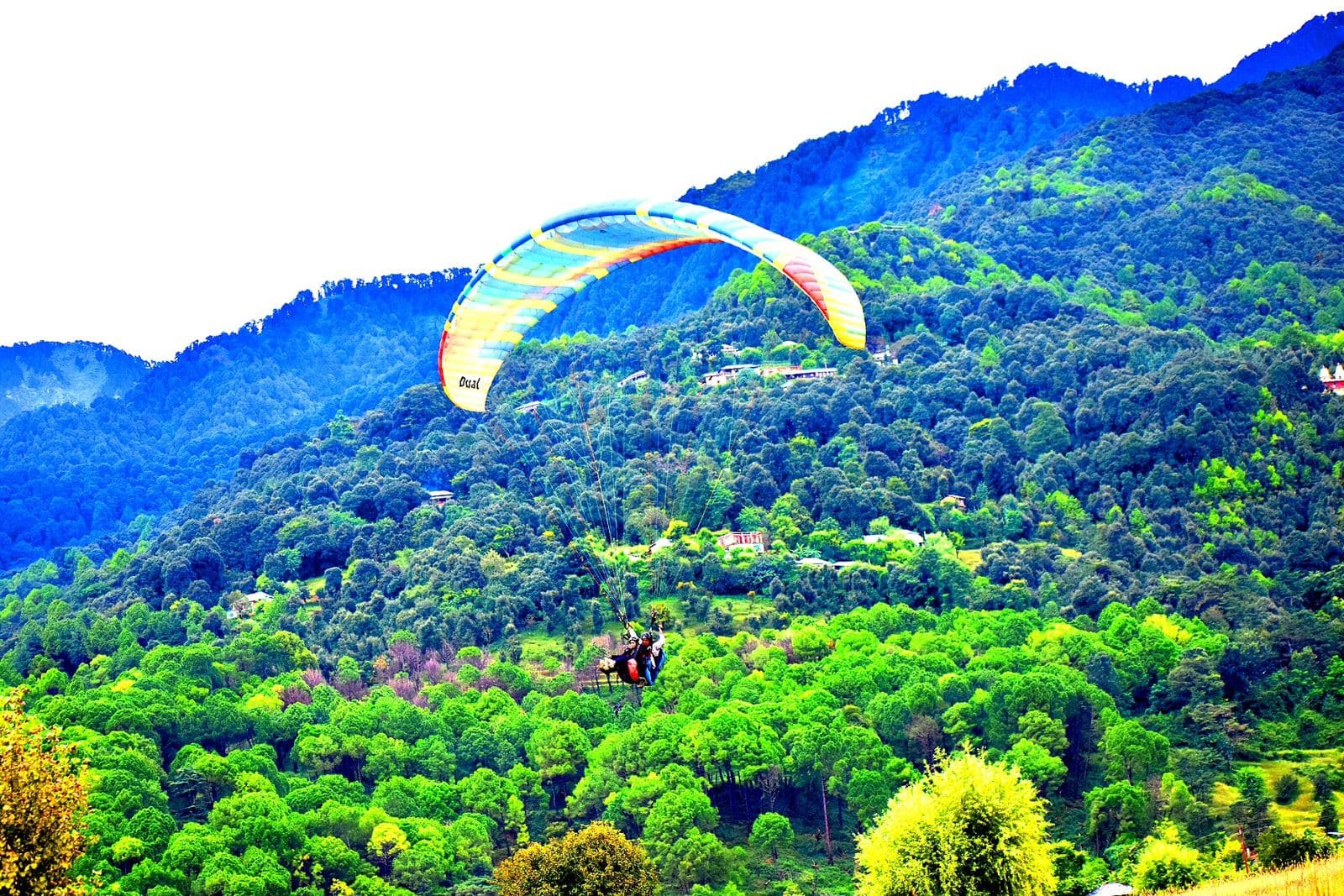 Bir Billing Paragliding Weekend